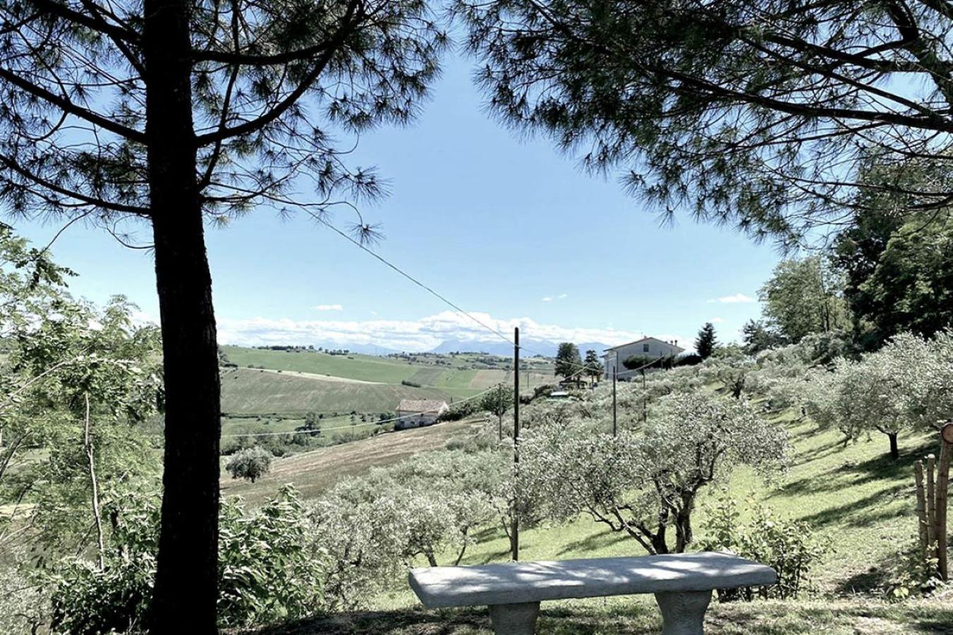 Bed And Breakfast La Vecchia Scuola Montefano 外观 照片