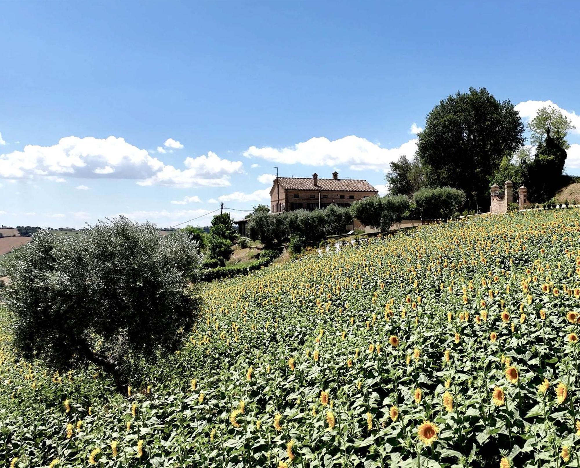 Bed And Breakfast La Vecchia Scuola Montefano 外观 照片